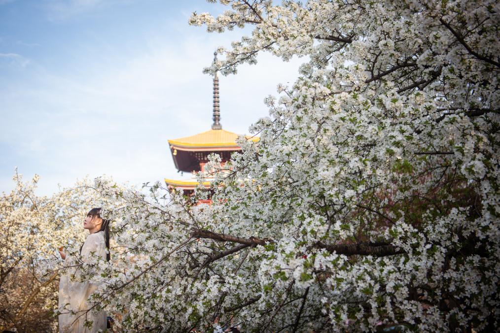 金秋十月，与爱车共赴一场浪漫之旅