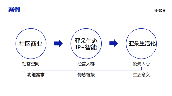 汽车品牌忠臣度，忠诚消费者的选择与品牌的共生发展