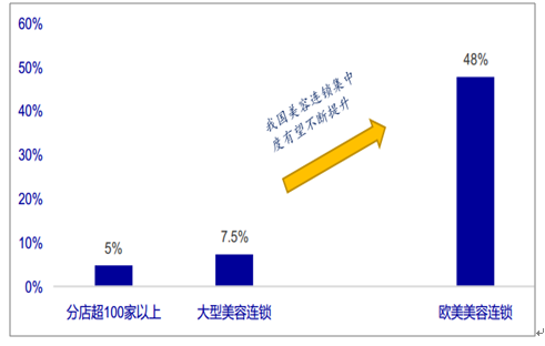 汽车品牌评估公司，洞察行业趋势，引领未来发展