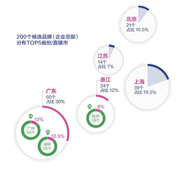 赛事直播汽车品牌，激情燃烧的赛道，创新驱动的未来