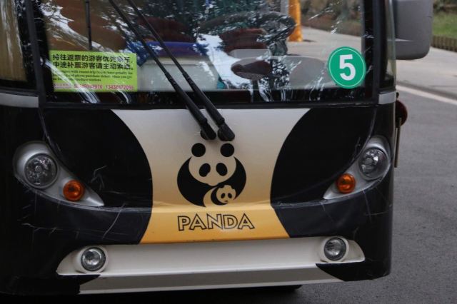 汽车品牌熊猫认领，以环保之名，守护地球家园