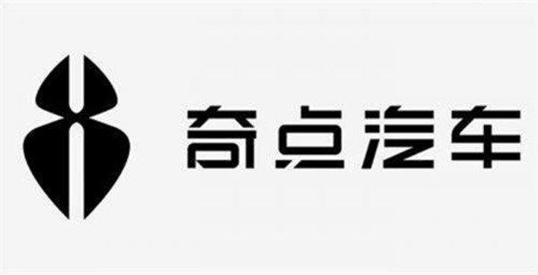 国产奇点汽车品牌，崛起之路与未来展望