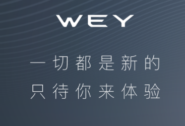 有道wey汽车品牌