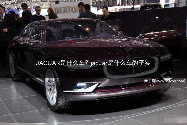 汽车品牌jack（汽车品牌jaguar）