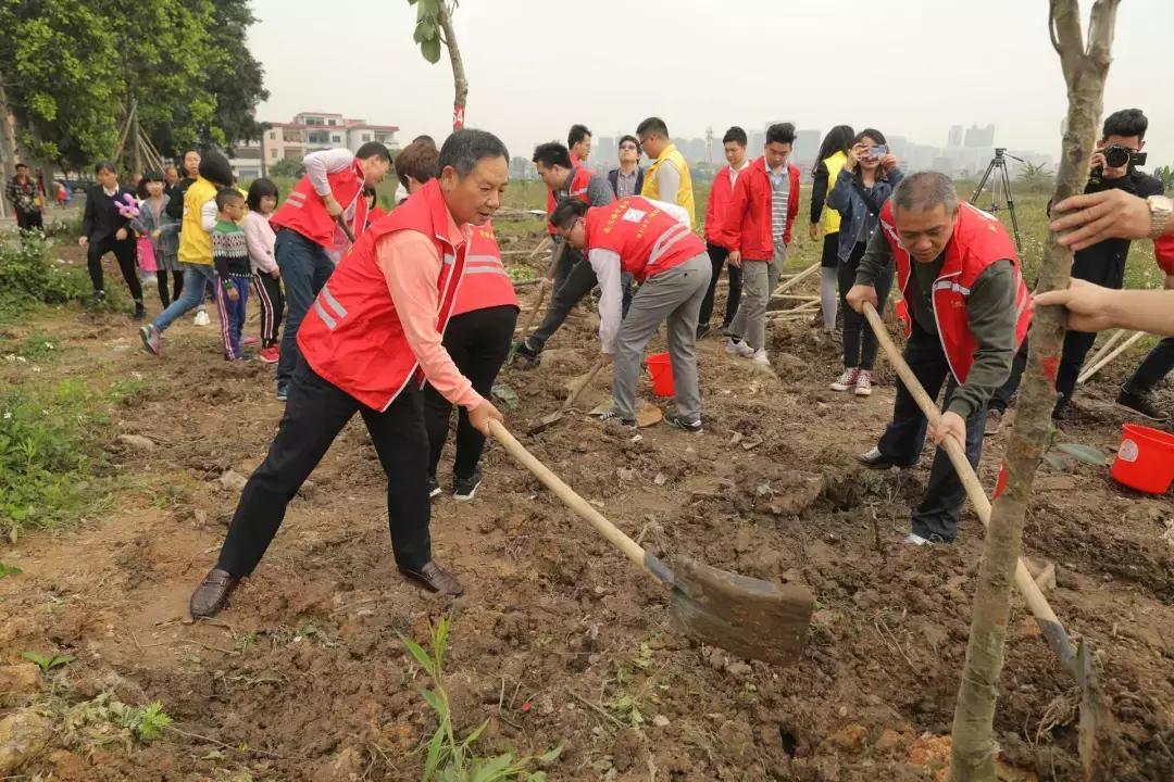 汽车品牌公益项目，守护绿色地球，我们在行动