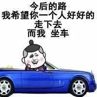 汽车品牌搞笑解说——让你笑中带泪的车生