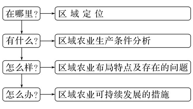 汽车品牌运营思路图，打造卓越品质与市场竞争力的全方位策略