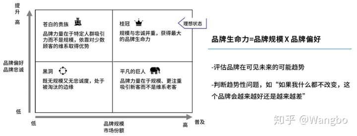 汽车品牌如何建立用户忠诚度，策略与实践