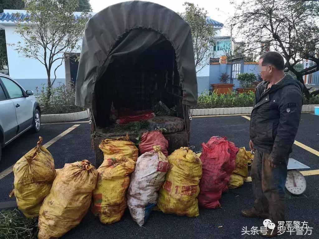 警惕容易被盗的汽车品牌，揭秘哪些品牌的车辆更容易成为盗贼的目标