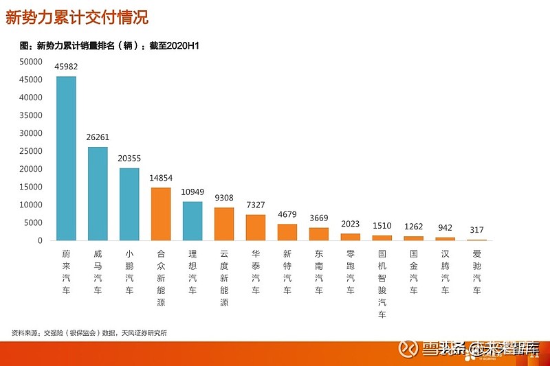 新能源汽车市场的新锐力量，探索与展望