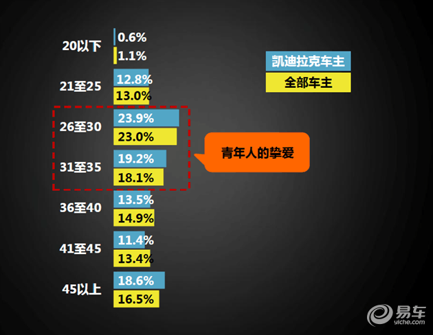 汽车品牌车主画像