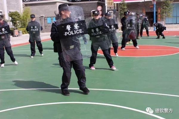 盾牌标志汽车品牌——坚韧与尊贵的象征