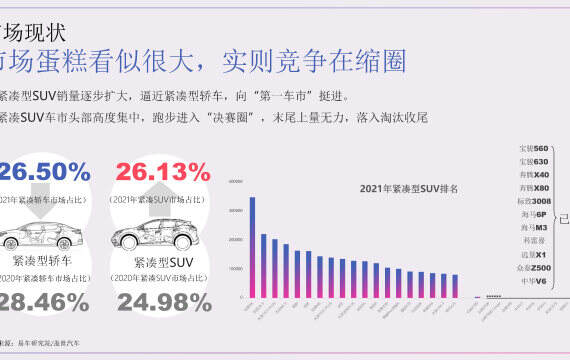 R汽车品牌运营策略与市场表现