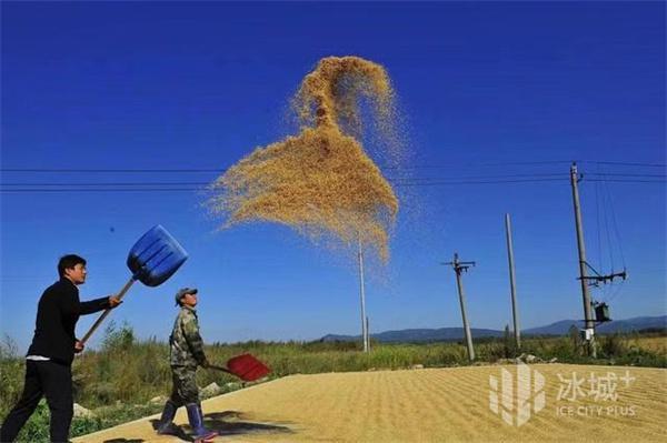 汽车品牌征名（汽车品牌征名怎么取）