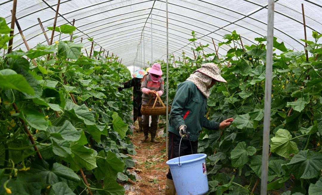 贵溪汽车品牌代理，开启高端汽车市场的金钥匙