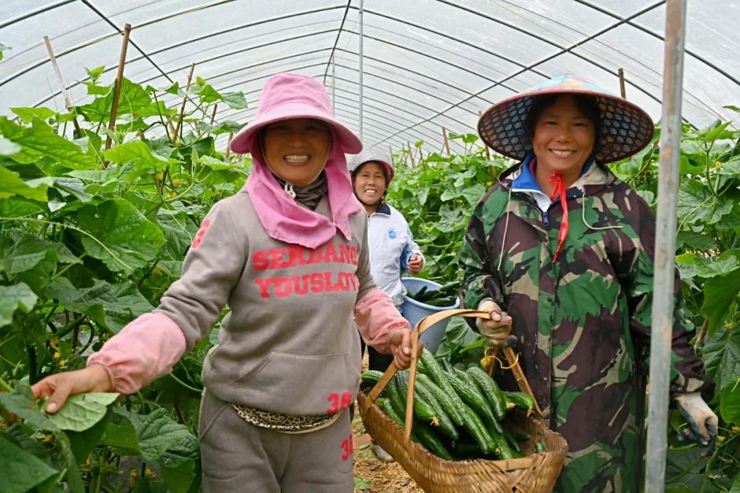 贵溪汽车品牌代理，开启高端汽车市场的金钥匙