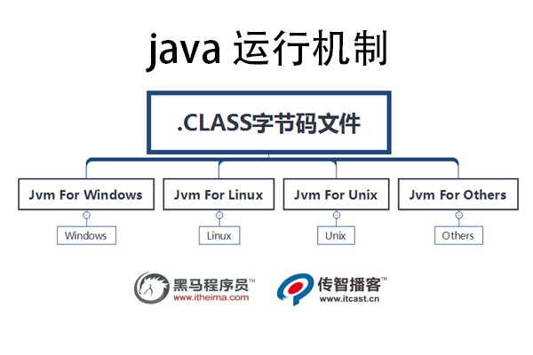 Java输出汽车品牌