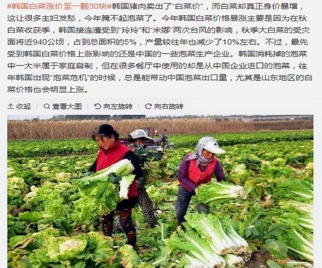 进口高级汽车品牌，豪华、品质与性能的代名词