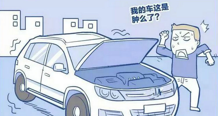 汽车品牌发抖（整车发抖）