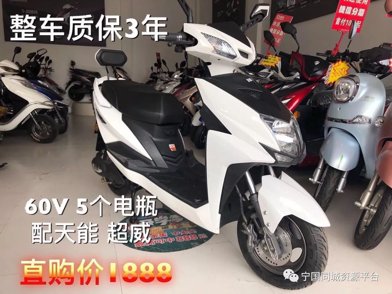 电瓶汽车品牌及价格，全面解析购车指南