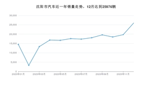 沈阳汽车市场销量分析，各大品牌竞争激烈，谁家销量领先？