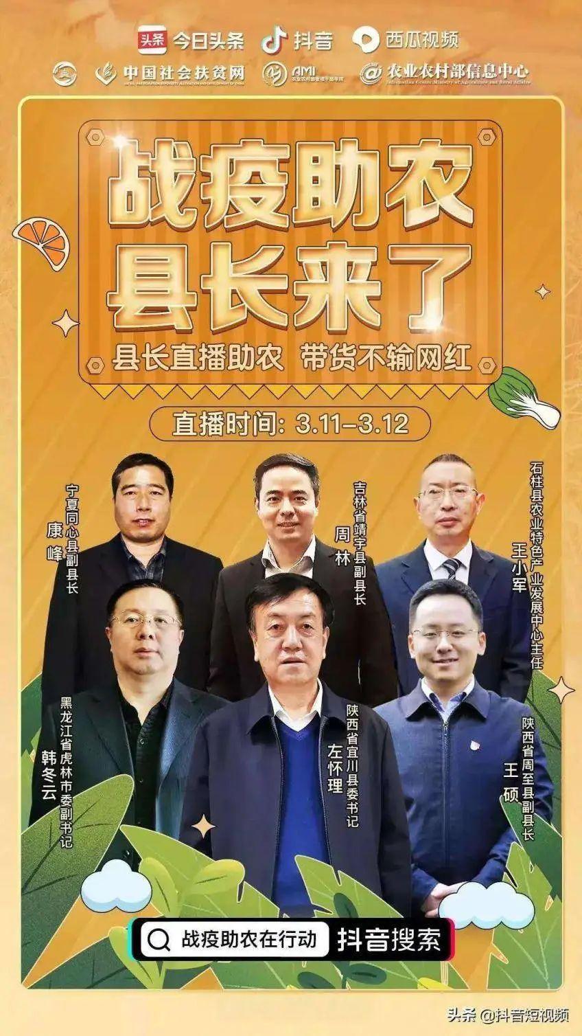 汽车品牌如何带动流量