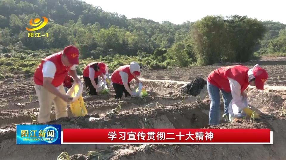 构建未来出行新篇章——理想汽车品牌服务理念探索