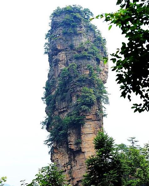 汽车品牌排名天梯图，揭秘全球十大汽车巨头