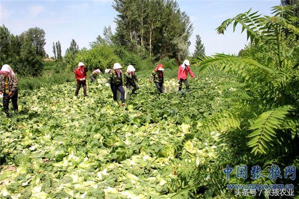 汽车品牌的重中之重，探索各大品牌的核心竞争力与市场定位