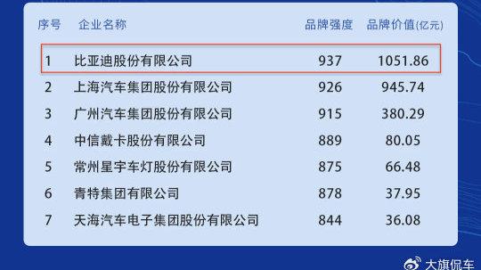 国家评价比亚迪汽车品牌