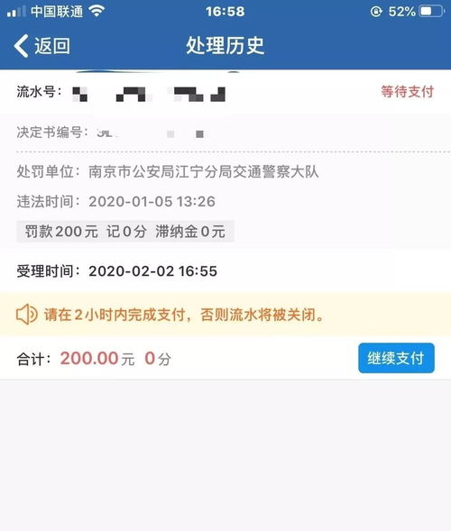 12123查不到汽车品牌，原因解析及解决方案