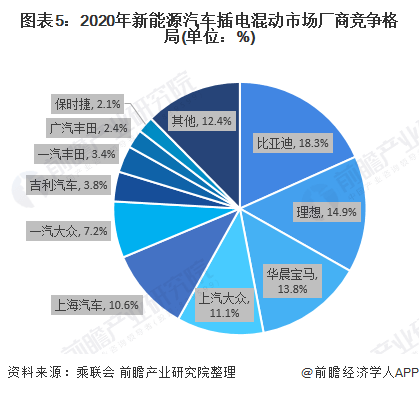 新能源汽车品牌状况，市场崛起与竞争加剧