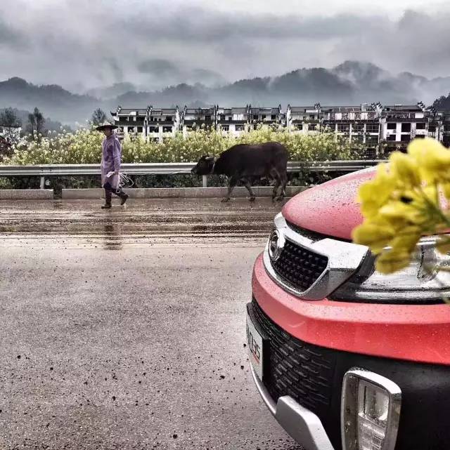 迷人的驾驶之旅，探索魅惑香味的汽车品牌