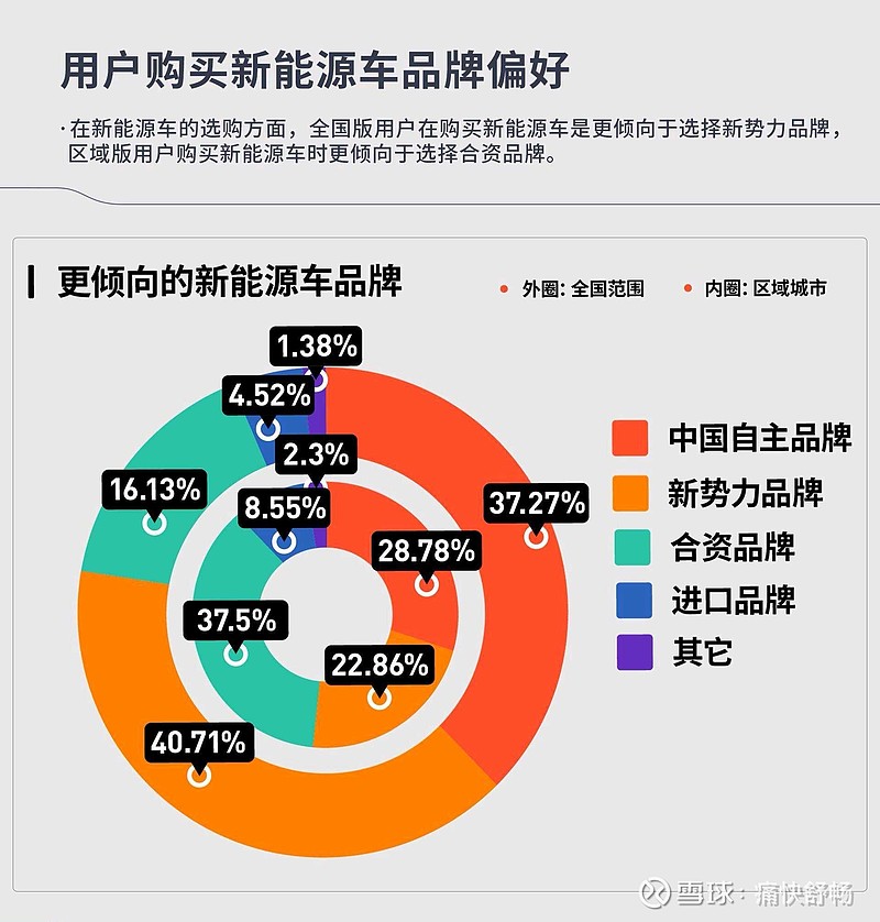 新能源汽车品牌差异，探索市场主导地位及消费者选择因素