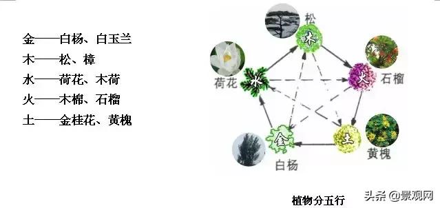 五行汽车品牌，引领未来的绿色出行之路