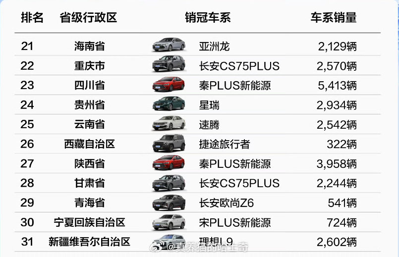 新疆产汽车品牌排行