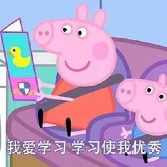 佩奇的汽车品牌，梦想与现实的碰撞