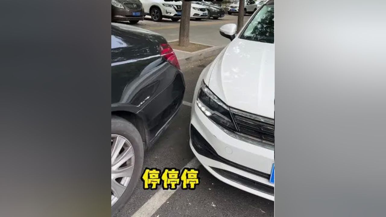 鉴定热门网络汽车品牌