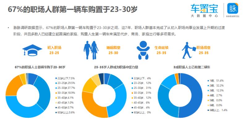 汽车品牌与车主画像，探寻背后的消费心理与需求分析