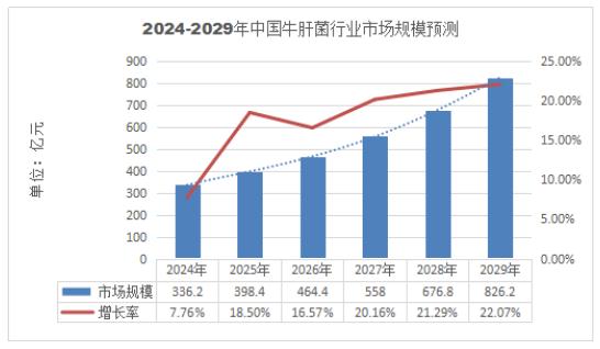 汽车品牌数据分析，探索市场趋势与消费者偏好