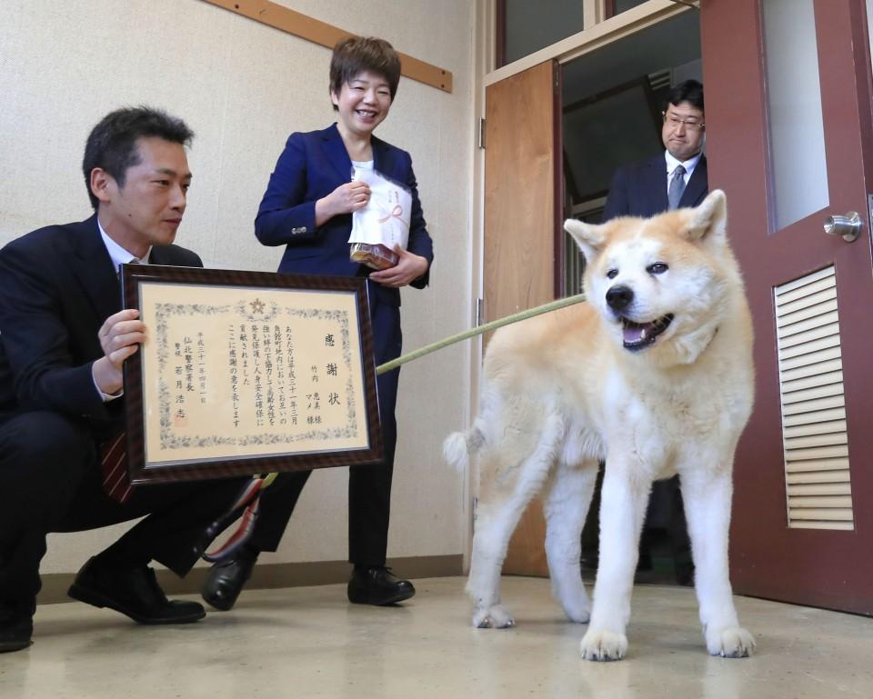 Hozon，日本汽车行业的璀璨新星