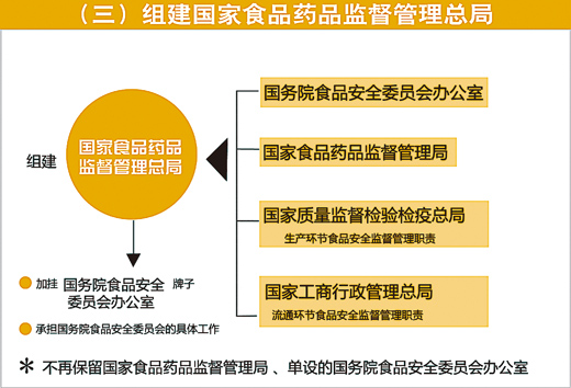 汽车品牌总监的职责与挑战