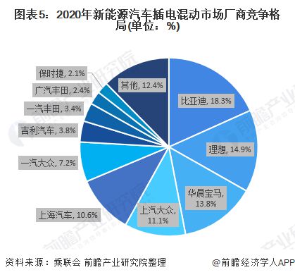 电动汽车品牌在国内市场的发展与竞争分析