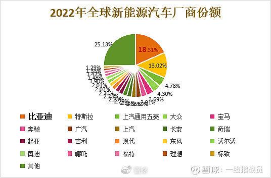 新能源汽车品牌归属，全球竞争格局与中国市场的崛起