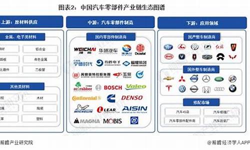 国企选择汽车品牌的策略分析