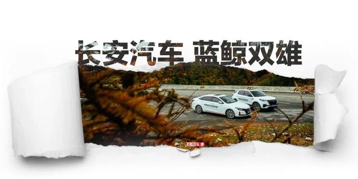 Title: Changan Automobile: The Chinese Car Brand in Global Perspective