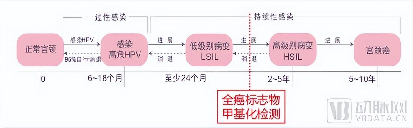 汽车品牌授权级别划分