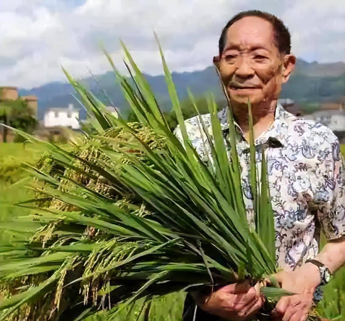 袁隆平拥有的汽车品牌，杂交水稻之父的驾驭之道