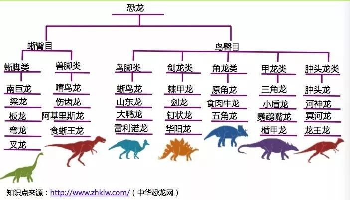 探索神秘的远古世界，恐龙汽车品牌介绍图解