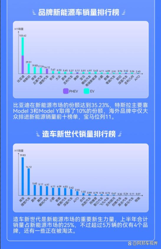 高端油电汽车品牌的崛起与挑战